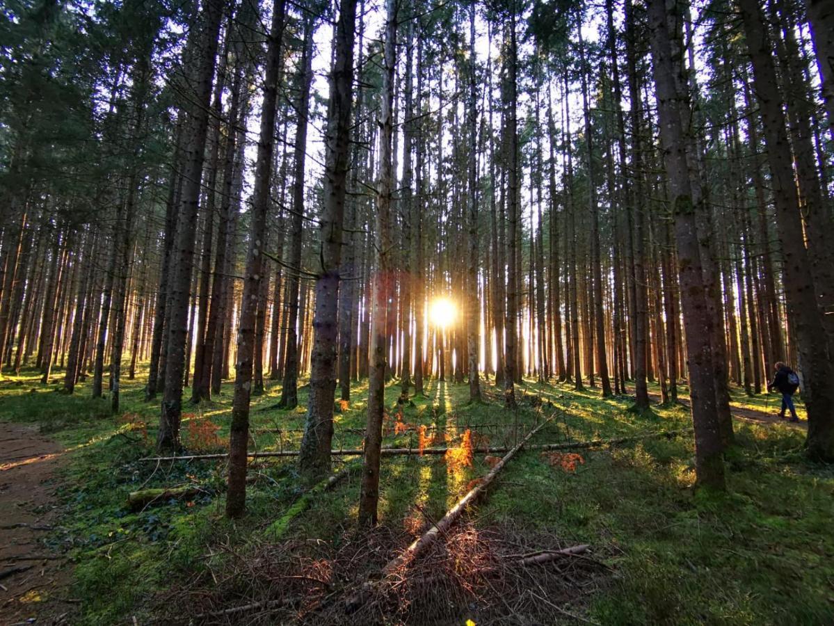 Landhotel Haeuserl Im Wald Grobming Eksteriør billede